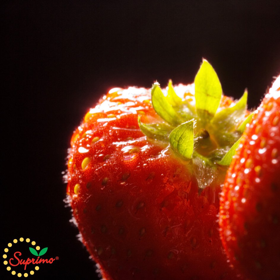 Al aangemeld Horticulture 4.0? Wacht niet te lang met je digitale toekomst @Horticult4  frugicom.nl