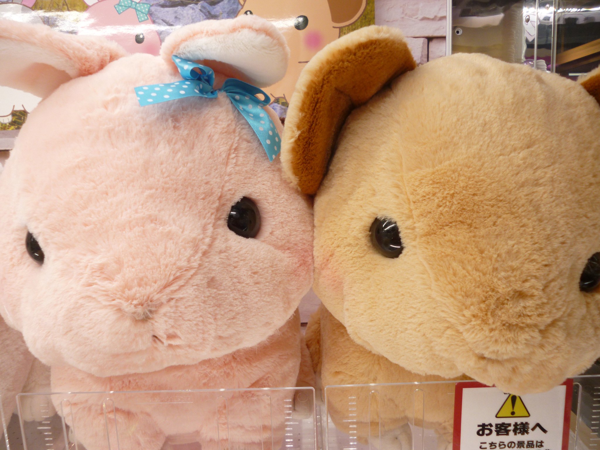 Tac Koriyama クレーンゲーム キュンとなきうさぎの集いbigぬいぐるみが入荷しました かわいいきゅんきゅんにぴぴちゃん ピンク ぴょんこちゃん 灰色 が仲間入りです なきうさぎたちに癒されますね タイトーアミューズメントシティ Tac Koriyama クレーンゲーム キュンとなきうさぎの集いbigぬいぐるみが入荷しました かわいいきゅんきゅんにぴぴちゃん ピンク ぴょんこちゃん 灰色 が仲間入りです なきうさぎたちに癒されますね タイトーアミューズメントシティ
