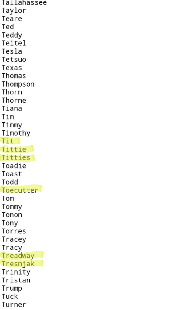 Astrogimp_'s tweet photo. "1000 of the most popular names". "Ivan" isn't one of them, but at least they have these. #Fallout4 #GoddHoward https://t.co/y31YHCaY2j