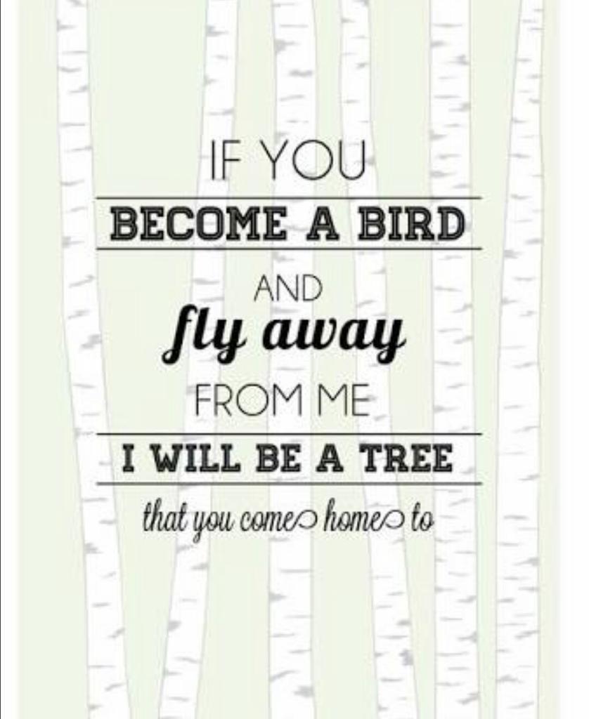 natashaoen (@natasha_oen) on Twitter photo 