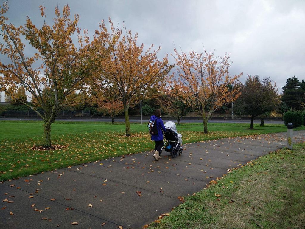 Hike_a_Lot's tweet photo. A walk in the rain 
#pnw #hikeatot #famout #raiseawildchild #everydaypic #goxplr #wanderlust #pnwlife #familytrails https://t.co/tnf59QZuUj