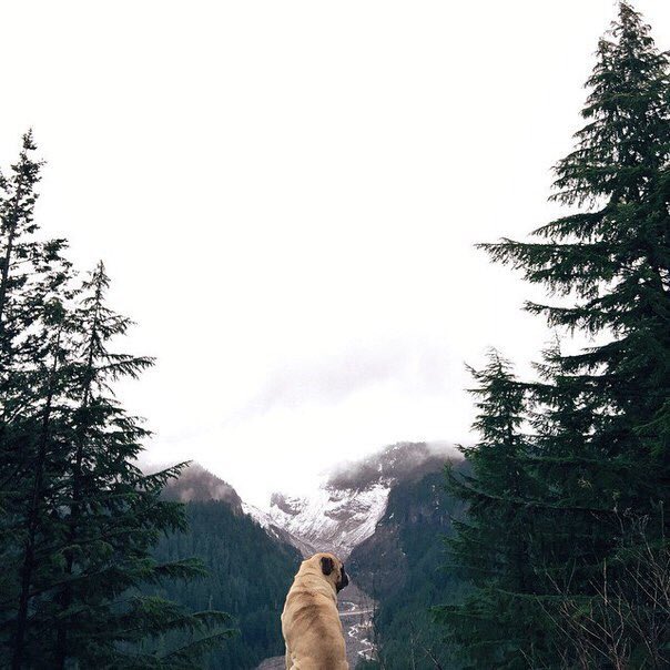 karrdashhian's tweet photo. 🌲#rt 🌲
🌲читай меня🌲
🌲читай ретвитнувших🌲
🌲жди новых читателей🌲
🌲#цепочкафолловеров 🌲
🌲#цепочкатвиттерских 🌲 https://t.co/xmtuzmj9Dl