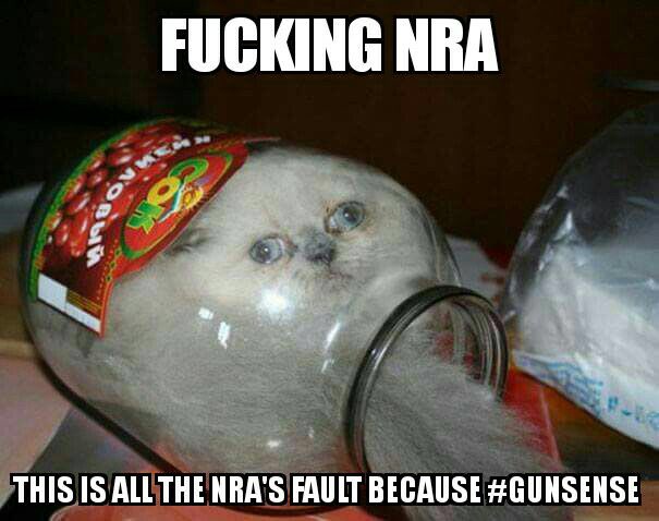 DTOMemes's tweet photo. FUCKING N ROWR A https://t.co/eLuzMCQWGt