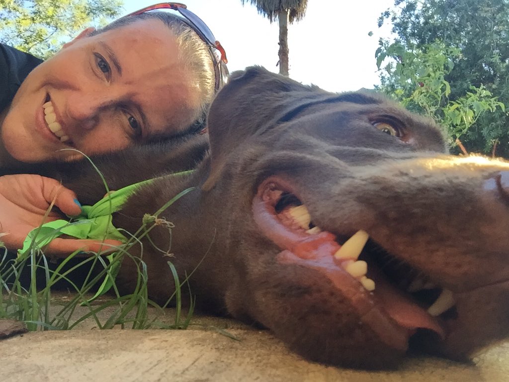 SBauguss's tweet photo. I just ran the @DoggyDashers. Check out my finisher results and bling at: https://t.co/gMrUdJyVOE #DoggyDashers https://t.co/SbC93iLq1Q
