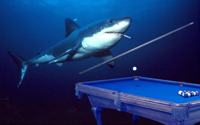 Calling out to all the pool sharks! Time for our weekly beer league pool tournament! Cash prizes and free2play!