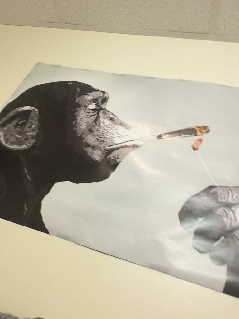 One of the best posters in my room 👌🏼😝