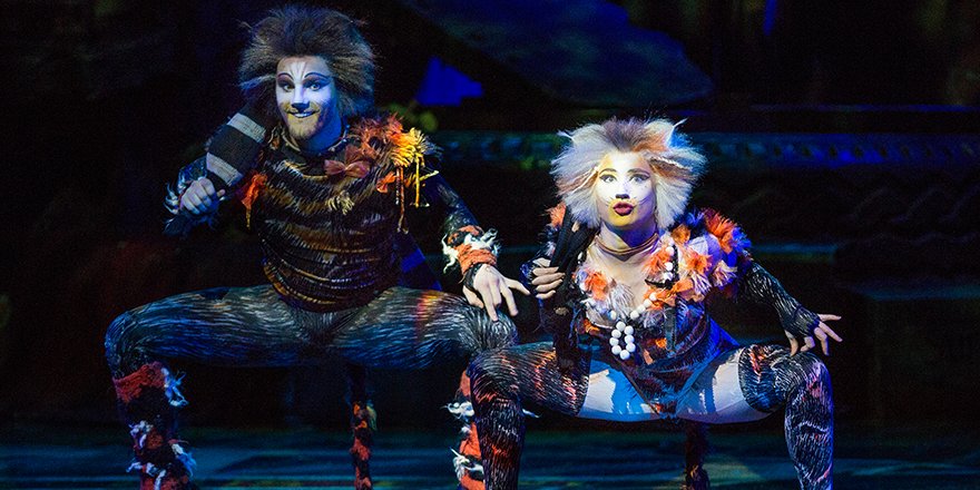 CatsMusical's tweet photo. "@DominiqueHam &amp; Brent Osborne's cat burgling duo... are great..." Sydney Arts Review #CatsAU #MungoAndRump https://t.co/LYDsunQoSy