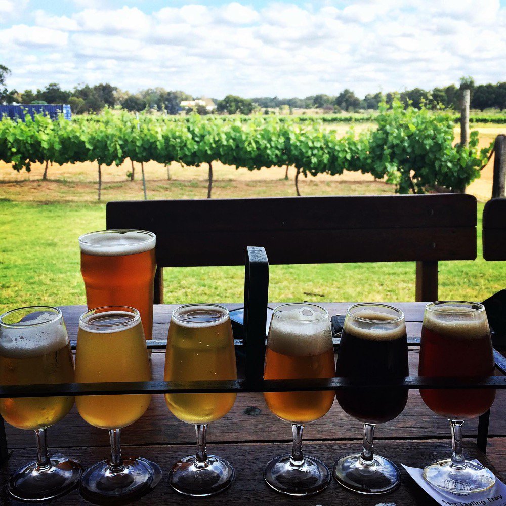 kimchichick's tweet photo. @psychicmediumje now you need to visit @TheSwanValley in particular @FeralBrewing my favourite place :) https://t.co/HQo93ln1ix