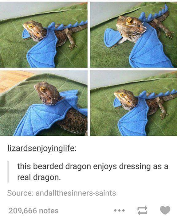 quartz_ii's tweet photo. @ProSyndicate please do this 😂 https://t.co/XsQdEZ1ftu