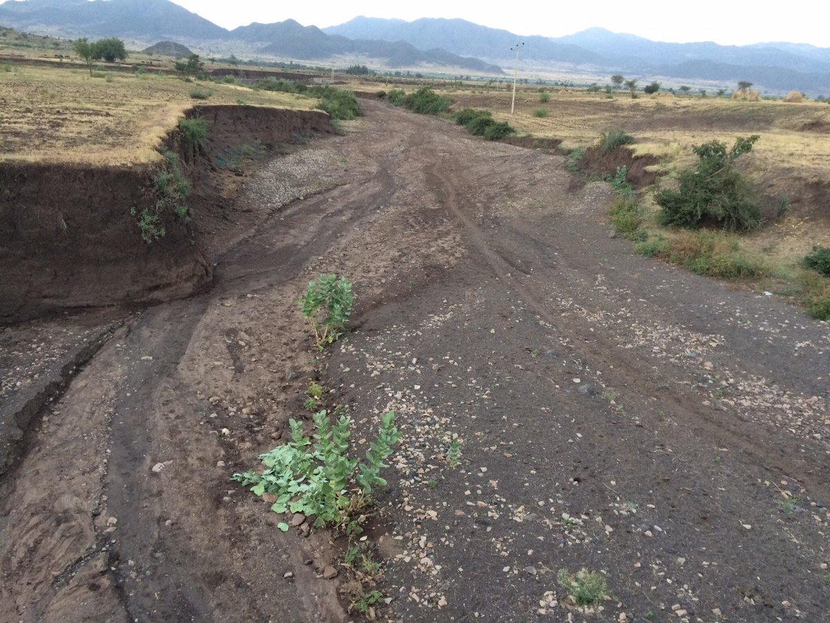 CliveMyrieBBC's tweet photo. Completely dry river bed in Northern #ethiopiadrought . 15m people at risk.Worst since 1984 and Bandaid! https://t.co/rIkwkHLmVr