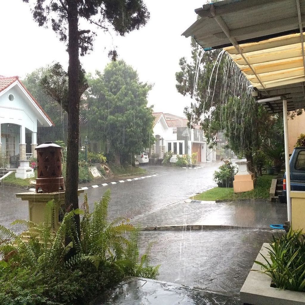 Jeremy Skinner tweet media