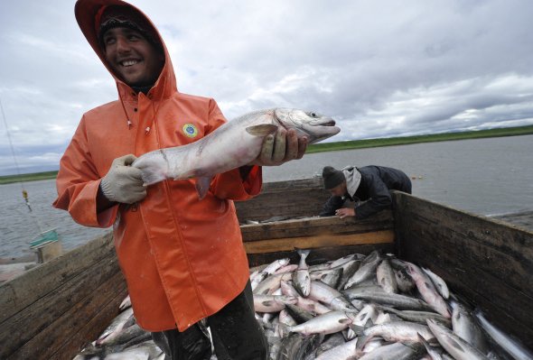 Половину рыбы в Черном и Азовском морях выловили рыбаки Крыма
#Крым #ИнфоКрым #НовостиКрыма
inform-crimea.ru/stati/polovinu…