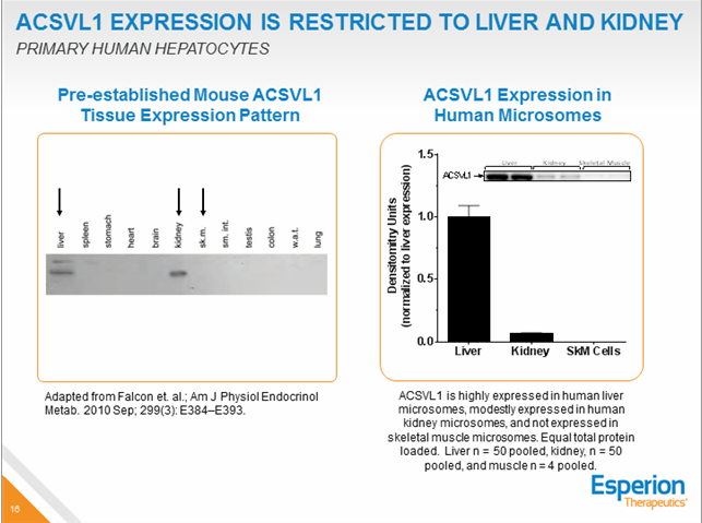 asclepiacap's tweet photo. $ESPR #ACSVL1 expression is restricted to liver and kidney. No expression in skeletal muscle. #AHA2015 #ETC1002 #ACL https://t.co/C1h6zOG6G7