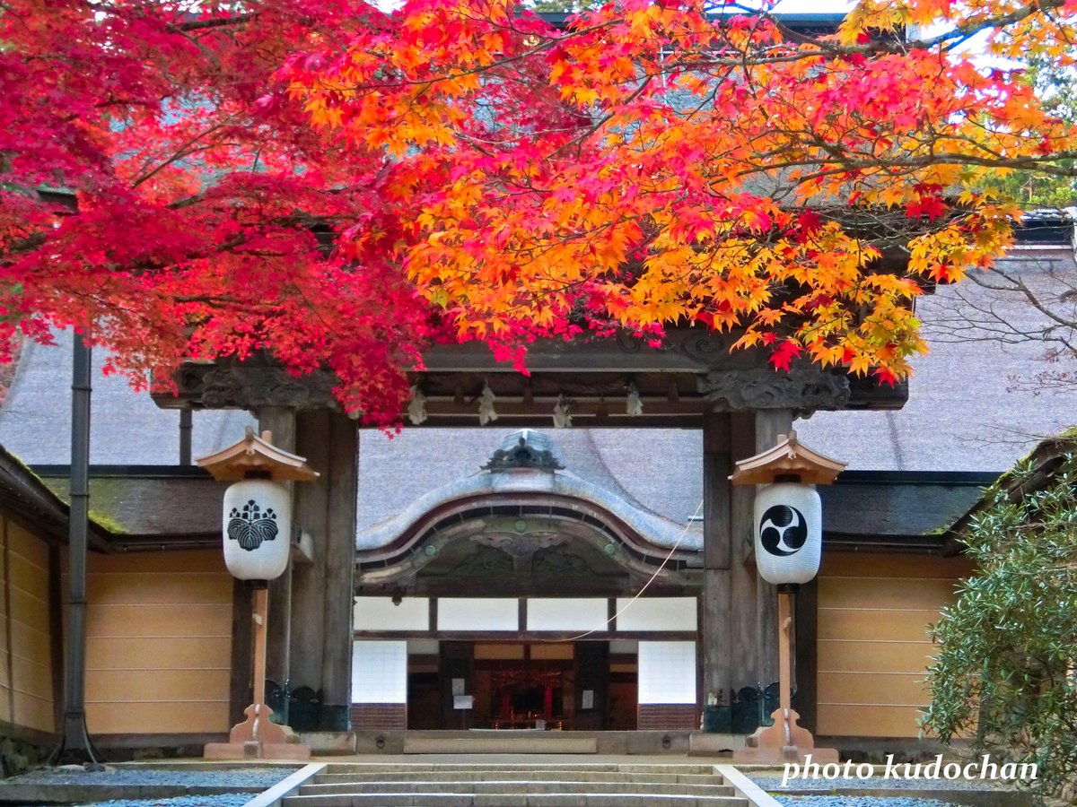 高野山金剛峯寺の紅葉の見頃とライトアップは 混雑はどう ツクの日々