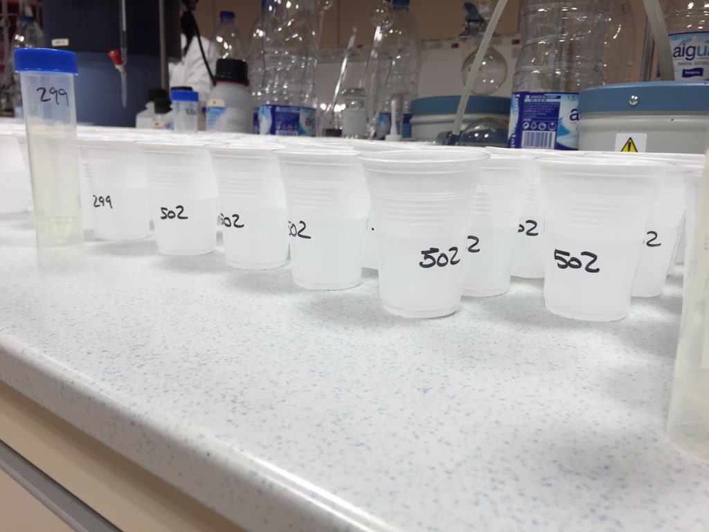 Jordi Bort Ferrando tweet media