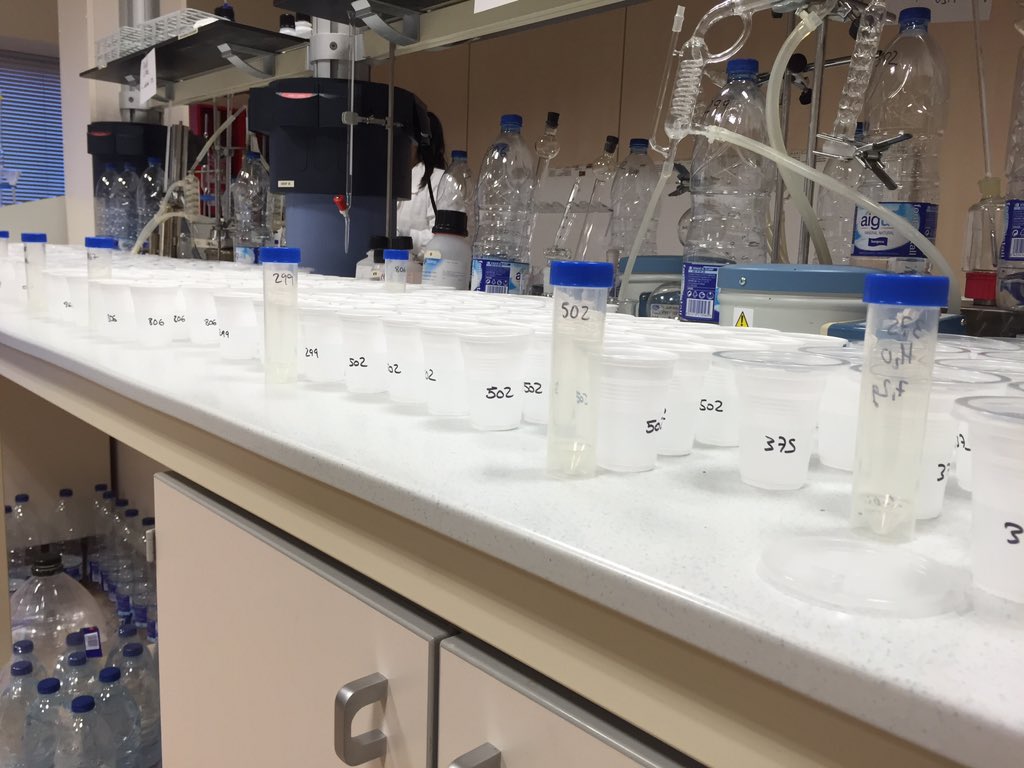 Jordi Bort Ferrando tweet media