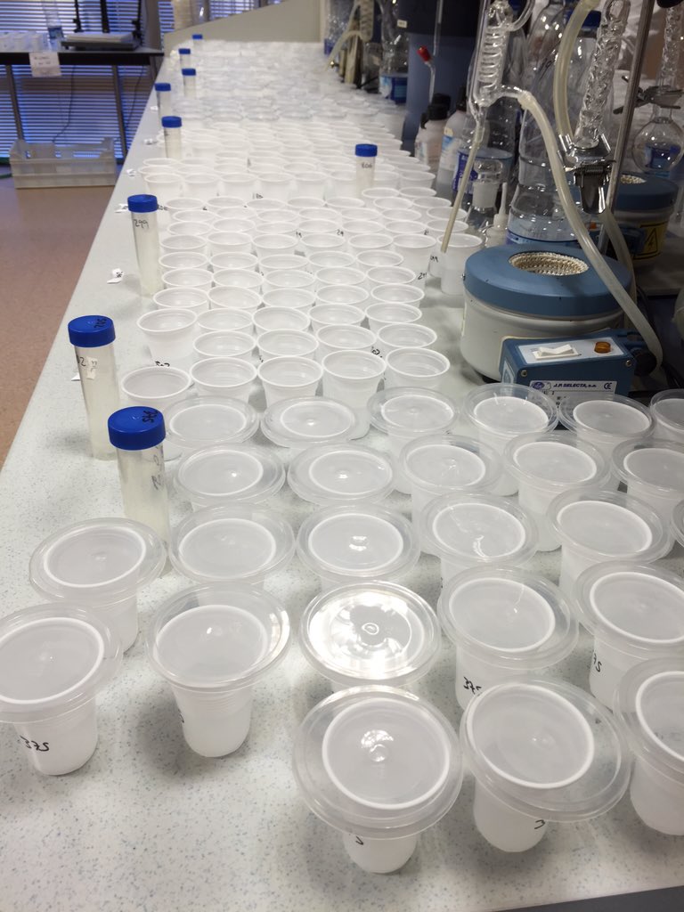 Jordi Bort Ferrando tweet media