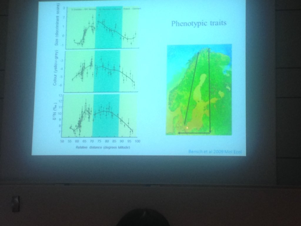 lucyjayneryan's tweet photo. Fab talk on #genetics &amp; #migration at #CAnMove from staffan bensch https://t.co/Rn69qkChhR