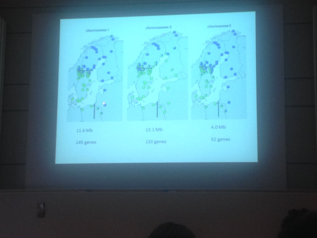 lucyjayneryan's tweet photo. Fab talk on #genetics &amp; #migration at #CAnMove from staffan bensch https://t.co/Rn69qkChhR