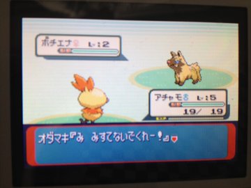 乱数調整 入門 Mizdra S Blog