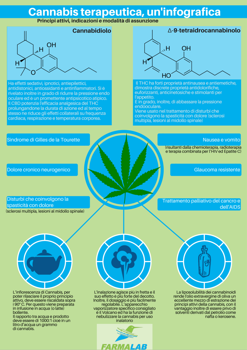 #cannabisterapeutica #terapiadeldolore #cannabis #infographics