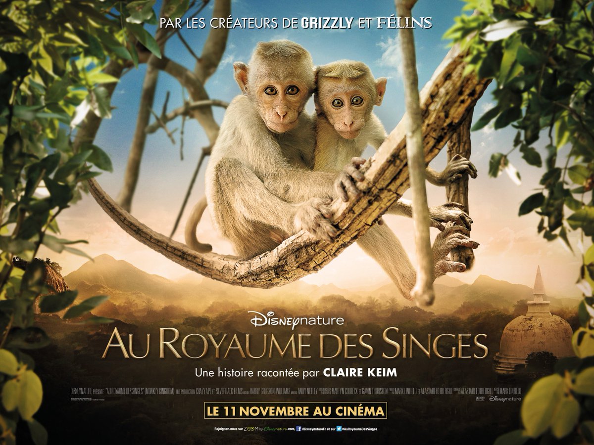 [Jeu] RT+follow pour gagner des places pour le #film #AuRoyaumeDesSinges raconté par <a href="/claire_keim/">Claire KEIM</a> au #cine demain