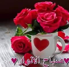 el_mountassi tweet picture