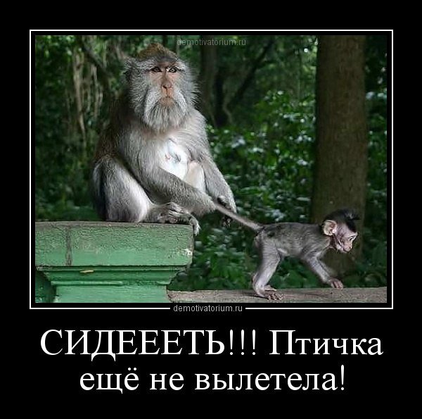 Net_Zet's tweet image. 