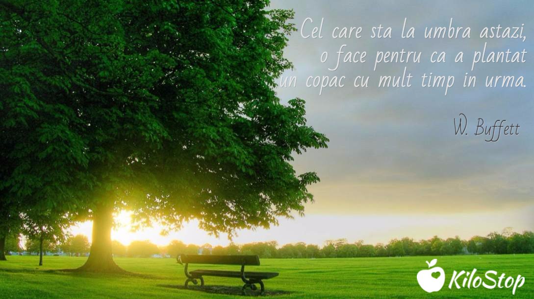 ClinicaNutritie's tweet photo. Cel ce stă la umbră azi o face pentru că a plantat un #copac cu mult timp în urmă. W. #Buffett #KiloStop https://t.co/9xhcVr0Rg1
