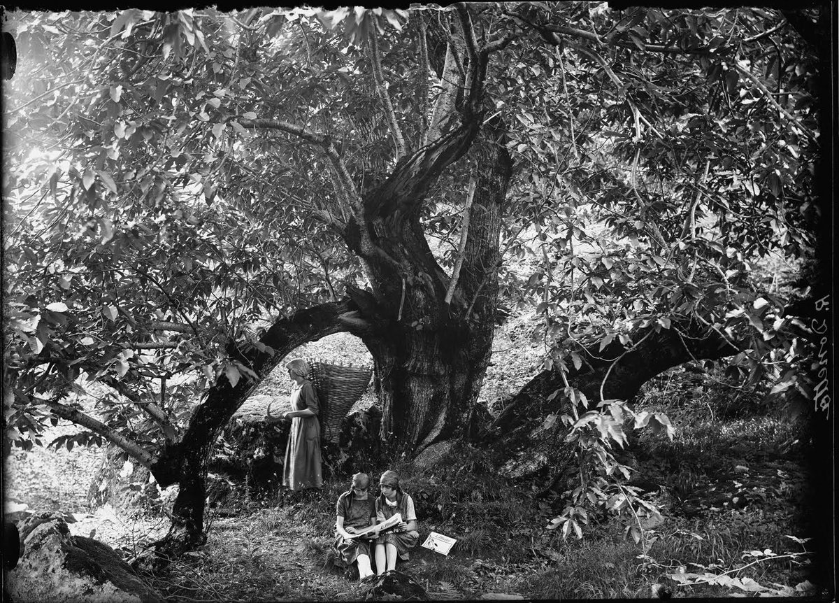 Mostra del fotografo #RobertoDonetta - 21 novembre 2015 al 20 marzo 2016 - #MuseodArtedellaSvizzeraItaliana #Lugano