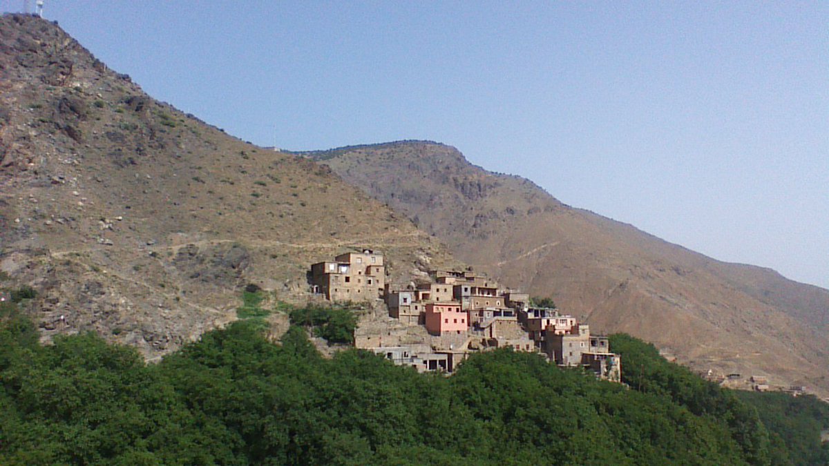 The Right Altitude tweet media