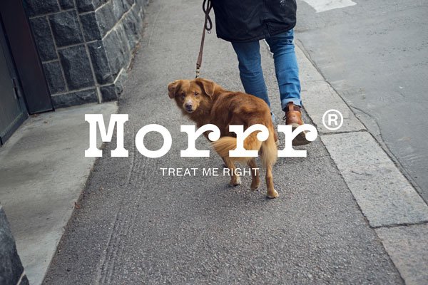 Morrrpets's tweet photo. Happy Tuesday! Morrr and #IBMfinland are talking about Smart Petcare at Sanomatalo today! #IBMwatson #slush15 https://t.co/wWEPIsyqjw