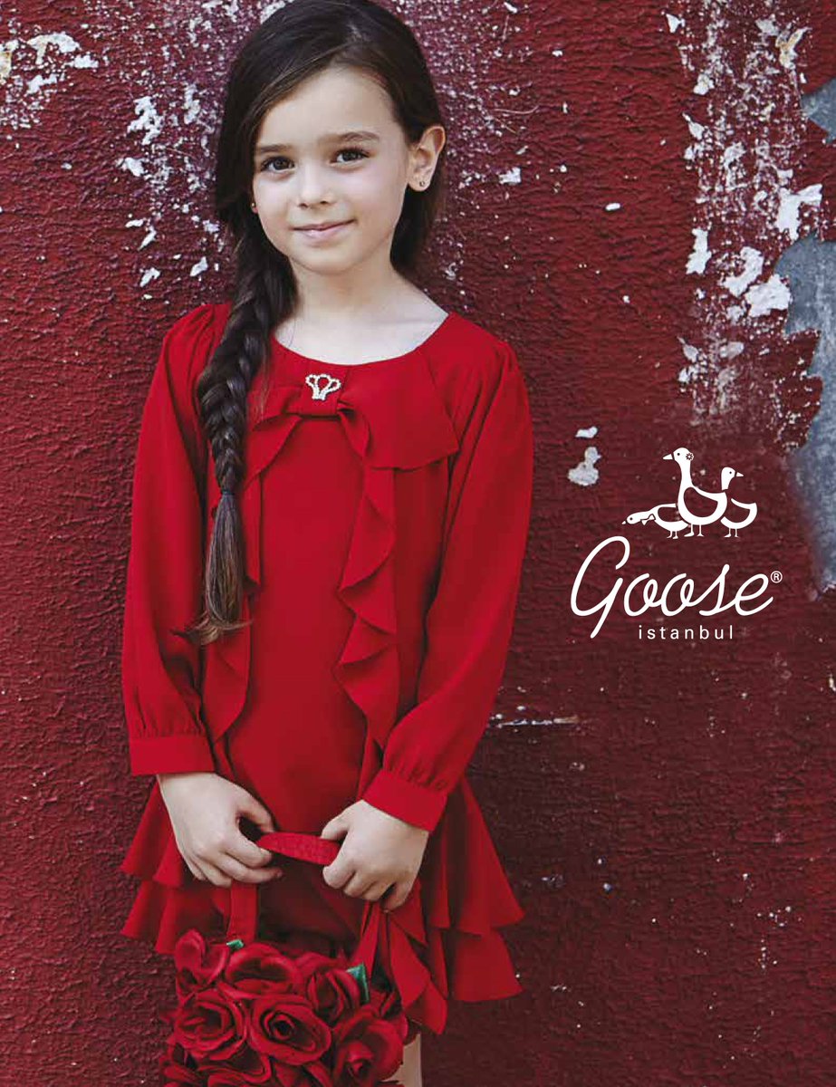 GooseIstanbul tweet picture