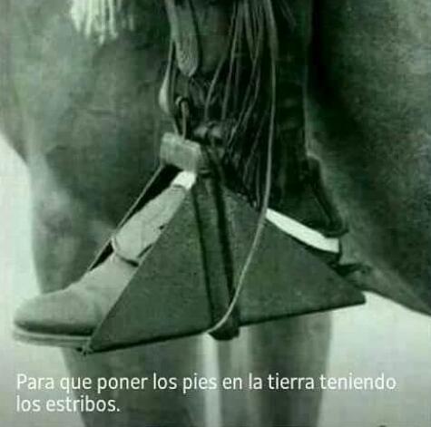 algaba_96's tweet photo. para q poner los pies ena tierra si tengo estribo https://t.co/TvABjxSg6C