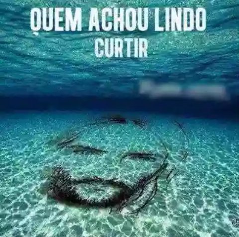 Mariaiaramd's tweet image. Bom dia a todos.