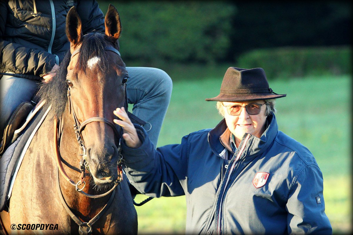 equidia's tweet photo. Soirée spéciale Trêve sur @Equidia_Live jeudi 12/11 à partir de 21h35 avec 4 reportages ! 👍 https://t.co/nuk7gEkAlI https://t.co/sLe2dRp2CI