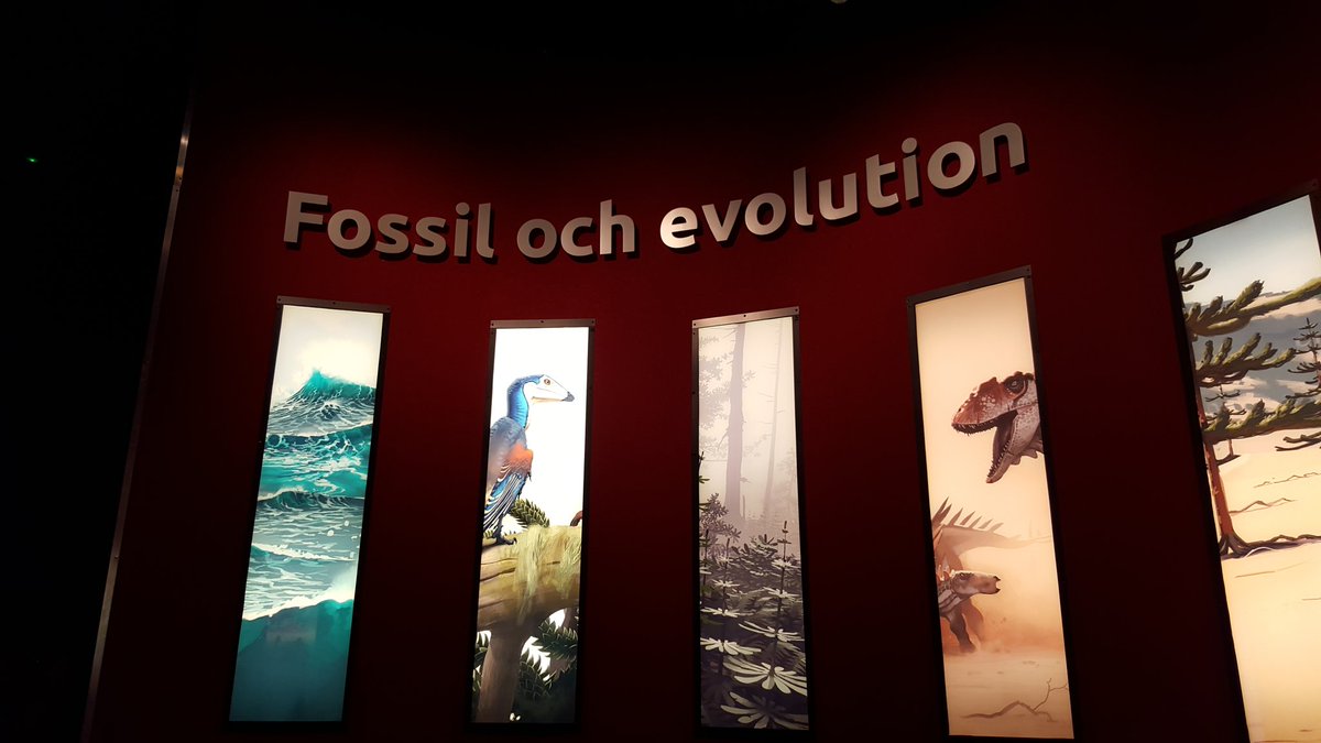monvax's tweet photo. F-1:orna var idag iväg till #Naturhistoriska Museet . Vi letade efter fossiler och lärde oss mycket om evolution https://t.co/pGNTUaMN2v
