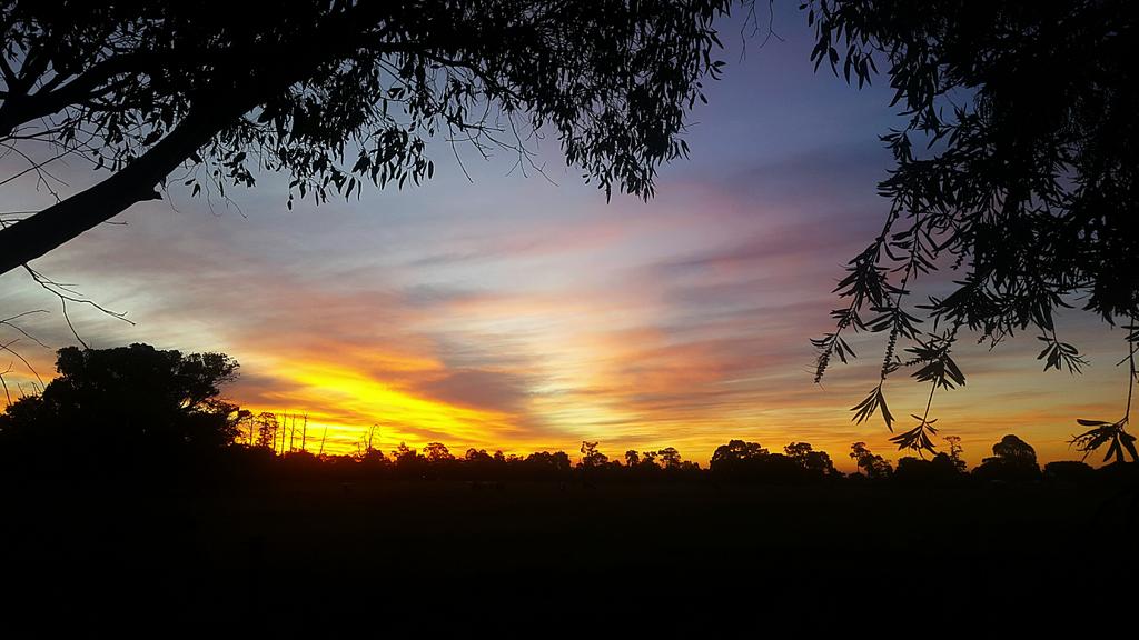 ashlea sutton tweet media