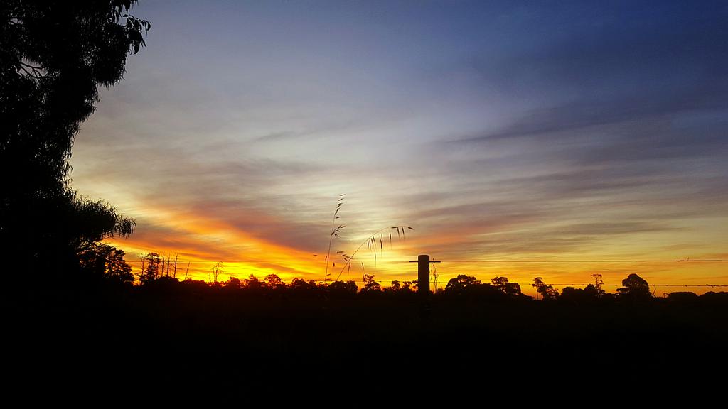 ashlea sutton tweet media