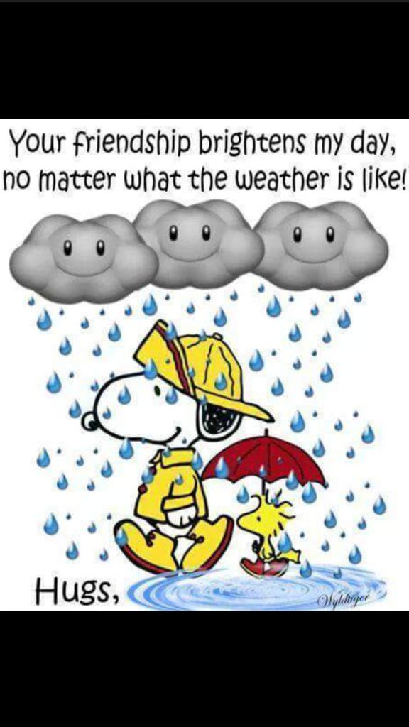 Birgitte Sæther (@birgitte70) on Twitter photo 