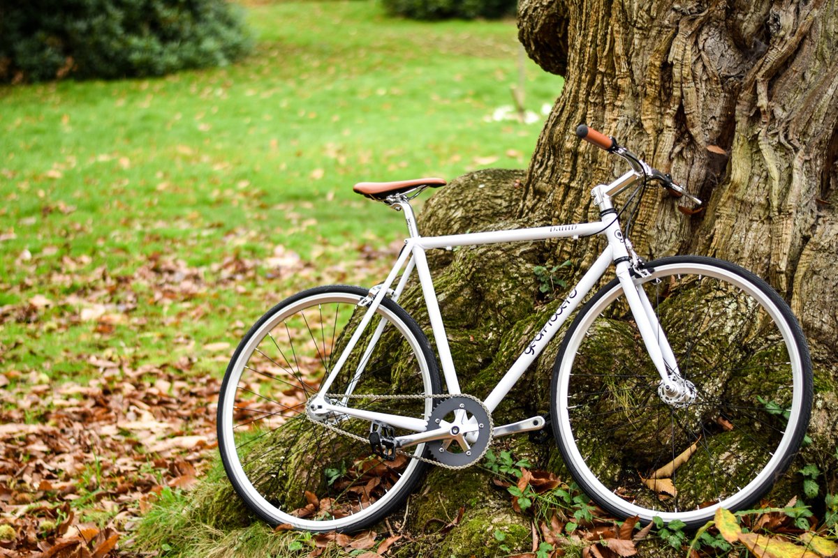 alexatbamb's tweet image. Autumnal photoshoot of the Bamb/Geoff Roberts fixed gear bike using our new Nikon &amp;amp; 50mm lens. Happy days!