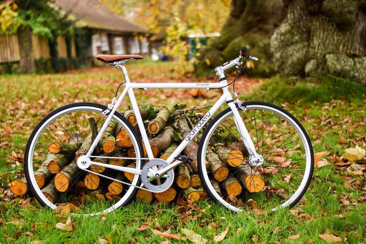 alexatbamb's tweet image. Autumnal photoshoot of the Bamb/Geoff Roberts fixed gear bike using our new Nikon &amp;amp; 50mm lens. Happy days!