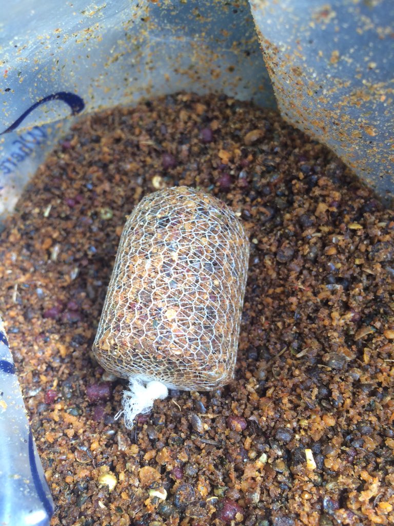 CarlStevenGee's tweet image. I've got my bucket ready for the ground bait approach over winter  @qualitybaits @RidgeMonkey #cm60 #nutmix