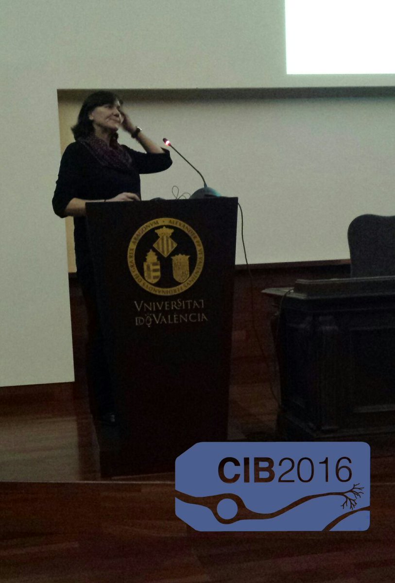 CIB 2026 tweet media
