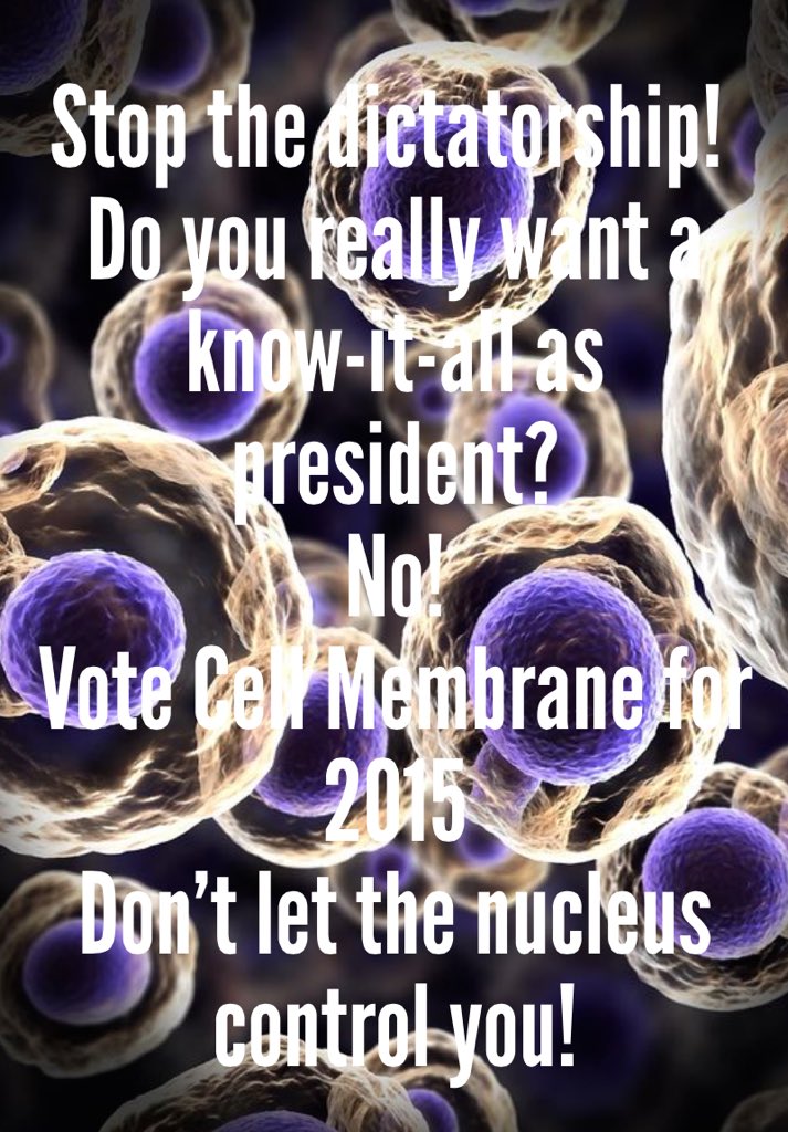 cell___membrane's tweet photo. @controlcenter24 https://t.co/mxniEVNbD3