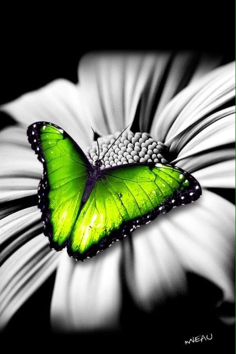doravi1's tweet photo. https://t.co/zTlpj9NlxS