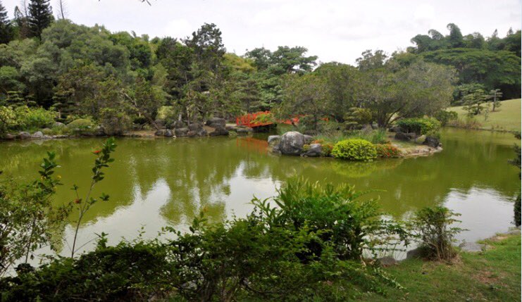 JardinBotanicRD's tweet photo. ¿Sabías?  El Jardín Japonés es una de nuestras áreas más conocidas y visitadas. Lo conoces! Cuéntanos tu experiencia https://t.co/RLpwTLOlLB