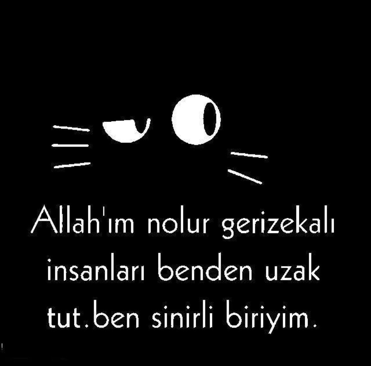 aytansibel's tweet photo. I'm at Siboşun homeyoooosu 🙋😋😁☺️ in Samsun https://t.co/ZxKNML533S https://t.co/c1LYcs9bu3