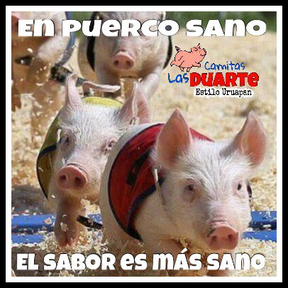 CarnitasDuarte's tweet photo. El deporte es nuestro aliado https://t.co/dI1ITJoJQd