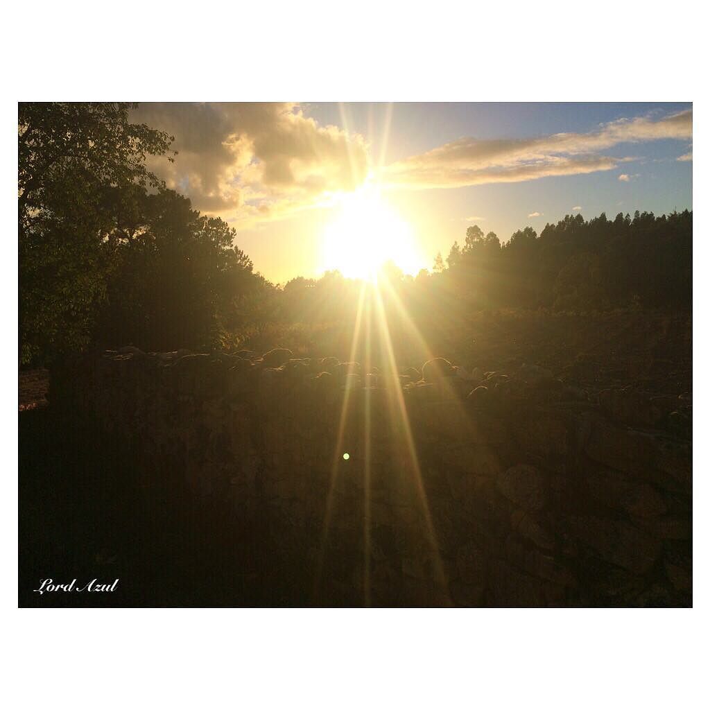 seck_thor's tweet photo. Anhother Sunset to add to The life album.
#lord_Azul
#sunsets_captures
_________________… https://t.co/KTQqnfGKhG https://t.co/67eEQbhrUp